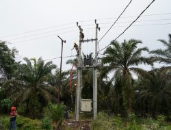 Dukung Pertumbuhan Industri dan Efisiensi, PLN Listriki Pabrik Kelapa Sawit di Kampar Riau