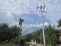 Negara Hadir, 24 KK Warga Dusun Terpencil di Kampar Riau Kini Nikmati Listrik PLN 24 Jam