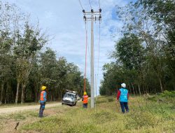 Sukses Bangun Infrastruktur Kelistrikan, 200 KK Warga Dusun Terpencil di Kabupaten Rokan Hulu Riau Kini Nikmati Listrik 24 Jam Dari PLN