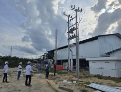 Industri Pengolahan Kelapa Sawit Terus Meningkat, PLN Pasok Listrik Pabrik PT Awal Bros Multiland dengan Kapasitas 555 kVA