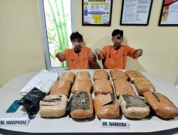 Jaringan Narkoba Antar Provinsi Terbongkar, Polisi Amankan 15 Kg Ganja! Dua Tersangka Terancam 20 Tahun Penjara!