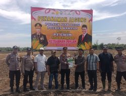 Polsek Siak Hulu dan PT. CWIM Tanam Jagung,  Dukung Ketahanan Pangan Nasional