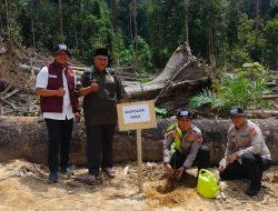 Bukan Cuma Tangkap Pelaku, Kapolda Riau Juga Tanam Pohon di Lokasi Perambahan Hutan