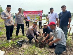 Polsek Tambang Bakti Peduli Lingkungan Penanaman 790 Bibit Pohon Dalam Rangka Hari Bhayangkara Ke-79