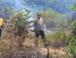 Kapolres Kampar Tinjau Lokasi Karhutla di Perbatasan 50 Kota, Api Berhasil Dipadamkan!