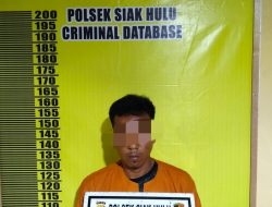 Diduga Pelaku Pencabulan Sesama Jenis, Korban DiBawah Umur, Ditangkap Polisi