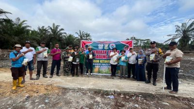 Polsek Tapung Hilir Dampingi Penanaman Jagung Pipil di Desa Kota Bangun, Dukung Ketahanan Pangan Melalui Dana Desa