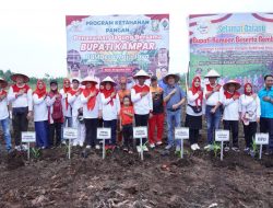 Bupati Kampar dan Walikota Payakumbuh Lakukan Penanaman Jagung di Pandau Jaya
