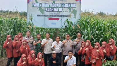 Kampar Utara Ikut Sukseskan Swasembada Pangan, Kapolsek Kampar Pantau Langsung Panen Raya Jagung Serentak dan Gerakan Pangan Murah!