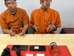 Polsek Kampar Tangkap Dua Pelaku Narkoba di Desa Bukit Ranah