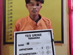 Polsek Tapung Hulu Amankan Pelaku Pencurian Sawit Yang Diserahkan Security