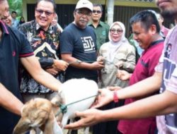 Pemkab Kampar Salurkan 105 Ekor Kambing kepada Kelompok Usaha Bersama Desa Teratak dan Pulau Payung