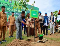 Sempena Hari Pohon Sedunia, Bupati Kampar Tanam Pohon di Tepi Sungai Subayang