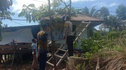 Pria di XIII Koto Kampar Tewas Kesetrum Saat Mengambil Buah Matoa