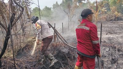 Karhutla Ancam Perumahan di Kampar, Personil Polres dan Petugas Gabungan Berjibaku Padamkan Api