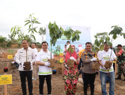 PLN untuk Rakyat, PLN UID Riau dan Kepri Wujudkan Lingkungan Hijau Lewat Penanaman Bibit Pohon Produktif