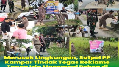 Satpol PP Kampar Tertibkan Spanduk dan Baliho di Pepohonan