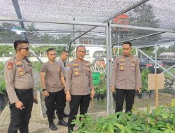Wakapolres Kampar Cek Bank Pohon Setia, Pastikan Bibit Tanaman Subur, Kompol Rizki: Jaga Kelestarian Lingkungan