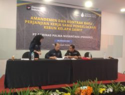 Bintang Jimmy Padam di Meja Negara: Agrinas Kukuhkan Kembali KSO Koptan Kampar Jaya Bersama Kelola Ribuan Hektare Sawit Sitaan
