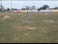 Perawatan Rumput Stadion Tuanku Tambusai