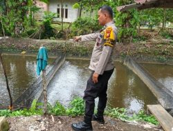 Bhabinkamtibmas Polsek Tambang Tinjau Budidaya 60 Ribu Lele, Dorong Ketahanan Pangan