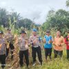 Polsek Kampar Kiri Hilir Meramaikan Panen Jagung Pipil, Dukung Program Swasembada Pangan Desa Simalinyang