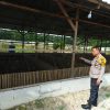 Bhabinkamtibmas Polsek Tambang Dampingi Peternak Bebek Wujudkan Ketahanan Pangan