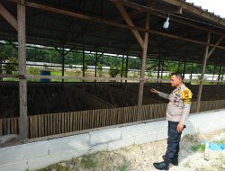 Bhabinkamtibmas Polsek Tambang Dampingi Peternak Bebek Wujudkan Ketahanan Pangan