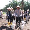 Polres Kampar Bersama KOPPSA-M Tanami 10 Hectar Lahan Jagung, Garap Ketahanan Pangan Sejak Akarnya