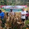 Polsek XIIIKOTOKAMPAR Gelar Panen Raya Jagung Pipil di Desa Koto Tuo