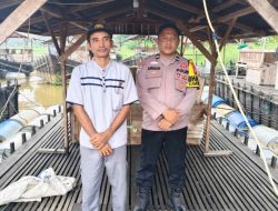 Upaya Dukung Ketahanan Pangan, Bhabinkamtibmas Polsek Tambang Pantau Usaha Budidaya Ikan Tapa