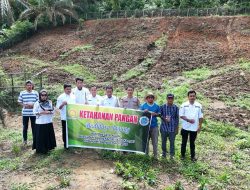 Polsek XIIIKOTOKAMPAR Gelar Giat Tanaman Jagung, Ketahanan Pangan Kwartal ll