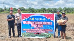 Polsek Kampar Garap 2 Hectar Lahan Untuk Penanaman Jagung, Dukung Program Asta Cita Ketahanan Pangan Desa Kayu Aro