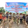 Presiden Prabowo Resmikan Program Polri Untuk Swasembada Pangan – Polres Kampar Gelar Panen Jagung & Penanaman Pohon Sebagai Wargaharian