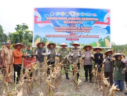 Presiden Prabowo Resmikan Program Polri Untuk Swasembada Pangan – Polres Kampar Gelar Panen Jagung & Penanaman Pohon Sebagai Wargaharian