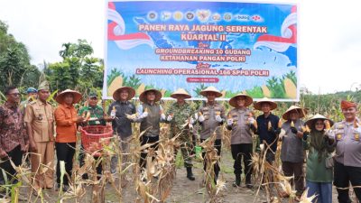 Presiden Prabowo Resmikan Program Polri Untuk Swasembada Pangan – Polres Kampar Gelar Panen Jagung & Penanaman Pohon Sebagai Wargaharian