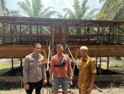 Wujud Nyata Dukung Ketahanan Pangan, Polsek Tambang Dampingi Peternak Kambing