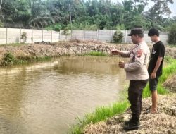 Dukung Ketahanan Pangan, Bhabinkamtibmas Polsek Tambang Dampingi Petani Ikan di Desa Terantang