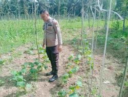 Bhabinkamtibmas Polsek Tambang Ajak Warga Manfaatkan Lahan Kosong untuk Menanam Sayuran