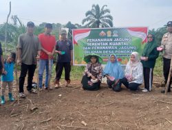 Dukung Swasembada Pangan, Polsek XIIIKOTOKAMPAR Laksanakan Penanaman Jagung Pipil Kwartal Kedua