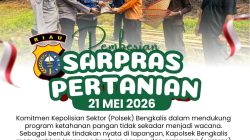 WUJUD AKSI NYATA POLRI, KAPOLSEK BENGKALIS SERAHKAN BANTUAN CANGKUL DAN CAPING UNTUK PETANI JAGUNG PIPIL