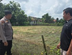 Wujudkan Swasembada Pangan Bhabinkamtibmas dan Kelompok Tani, Pastikan perkembangan jagung pipil seluas 1 Ha