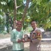 POLSEK TAPUNG SERAHKAN BANTUAN PUPUK CAIR KEPADA PETANI JAGUNG