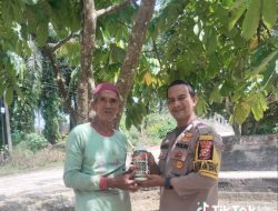 POLSEK TAPUNG SERAHKAN BANTUAN PUPUK CAIR KEPADA PETANI JAGUNG