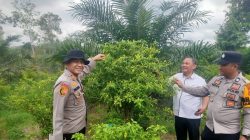 Polsek Kampar Kiri Hilir Periksa Taman P2B – Sayuran Cabe & Terong Tumbuh Baik Dukung Ketahtanan Pangan