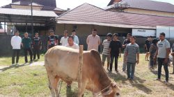 Polres Kampar Penyembelihkan 9 Ekor Sapi Qurban – Hasilnya Dibagikan Kepada Masyarakat, Warga Asrama & Personel