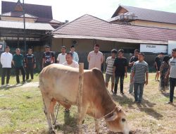 Polres Kampar Penyembelihkan 9 Ekor Sapi Qurban – Hasilnya Dibagikan Kepada Masyarakat, Warga Asrama & Personel