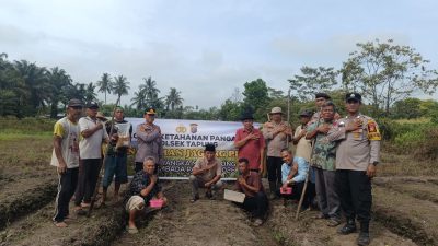 POLSEK TAPUNG KEMBALI TANAM JAGUNG PIPIL
