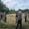 KAPOLSEK TAPUNG TINJAU TANAMAN JAGUNG PIPIL DI DS. BATU GAJAH