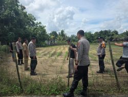 KAPOLSEK TAPUNG TINJAU TANAMAN JAGUNG PIPIL DI DS. BATU GAJAH